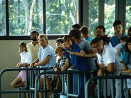 0DIA 1986 RAVAKAMP